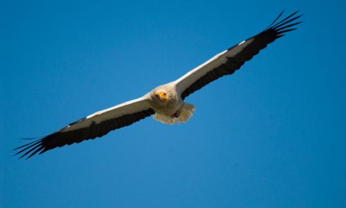 Imagen de ECOTURISMO CUENCA