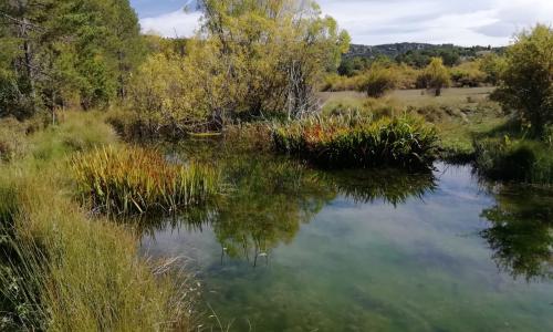 Imagen de PR-CU 05: Sendero del nacimiento del rio Guadiela